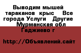 Выводим мышей ,тараканов, крыс. - Все города Услуги » Другие   . Мурманская обл.,Гаджиево г.